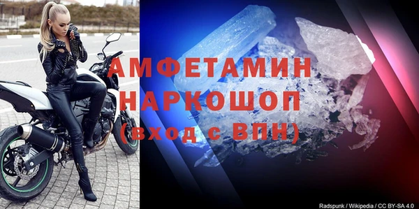 дживик Няндома